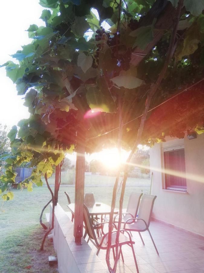 Mirini • Ancient Stagira Apts • Chalkidiki Олимпиада Экстерьер фото