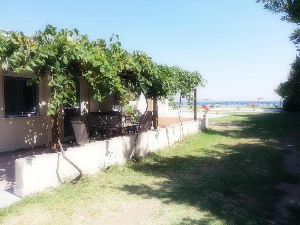 Mirini • Ancient Stagira Apts • Chalkidiki Олимпиада Экстерьер фото